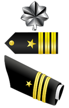 Commander (O-5) Insignia